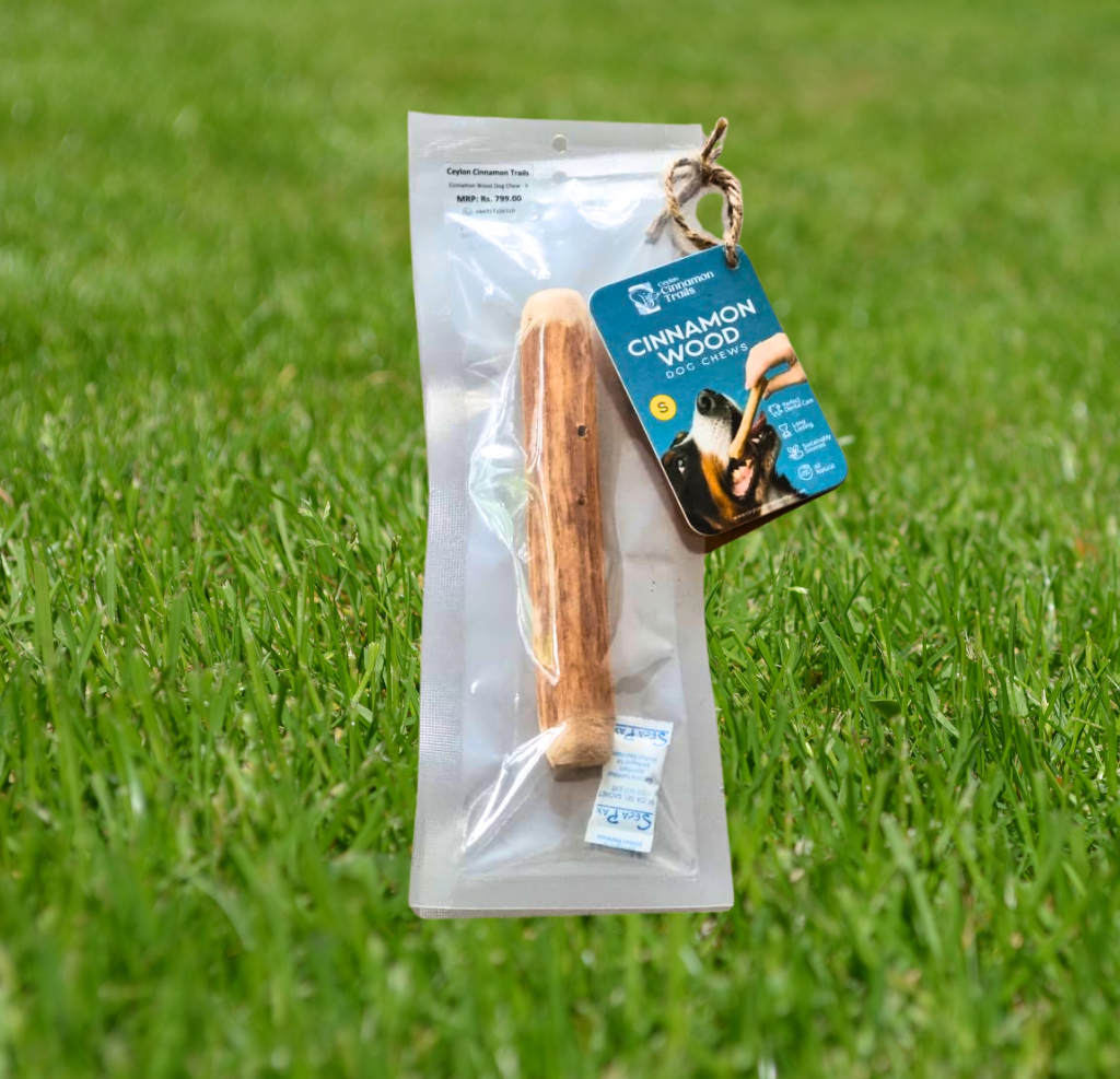 Cinnamon Wood Dog Chew Natural Cinnamon Wood long lasting