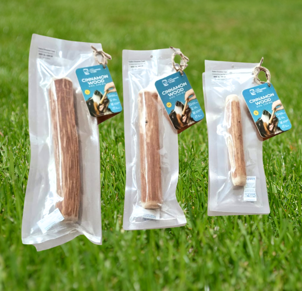 Cinnamon Wood Dog Chew Natural Cinnamon Wood long lasting